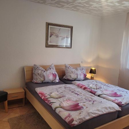 Ferienwohnung Jasmin In Schoenau Bei Heidelberg Fewo 2 Schonau  Exterior foto